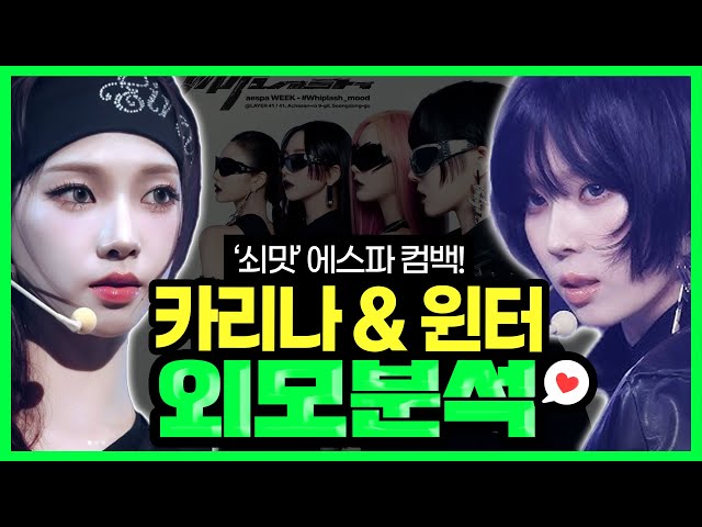 성형외과 의사의 에스파 카리나 윈터 외모분석