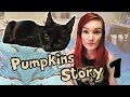 I RESCUED AN EMACIATED CAT | Part 1 | Pumpkin&#39;s Story