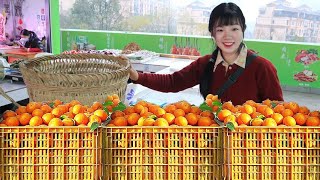 Back 50 kilograms of small wo mandarin to sell in the city  30 minutes income of more than 200 yuan