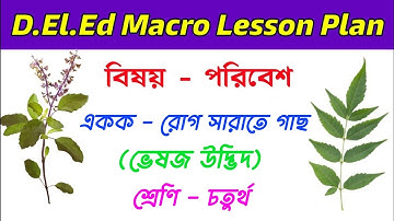 D.El.Ed Macro Lesson Plan / EVS (আমাদের পরিবেশ) / একক - ভেষজ উদ্ভিদ / শ্রেণী - চতুর্থ 