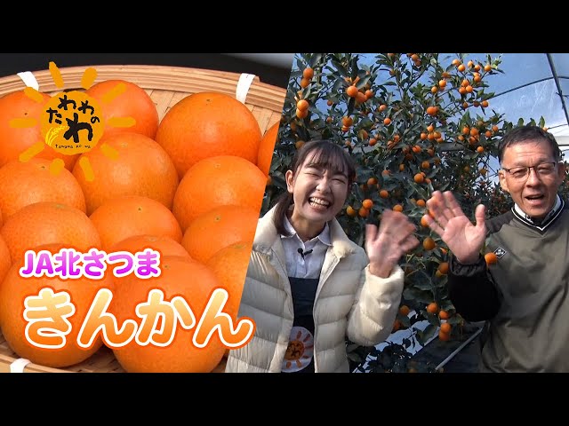 きんかん(2025年1月19日放送) - YouTube