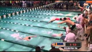 2013 IHSA Boys Swimming & Diving State Finals