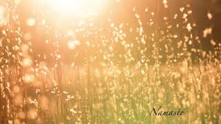 Namaste   Buddhism believes life begins at conception