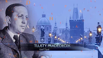 Kde se tito ptáci v zimě neuživili?