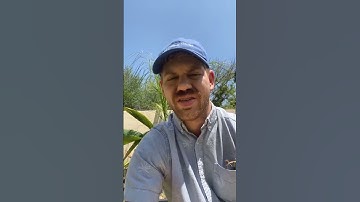 Zen Paradoxes Part 1