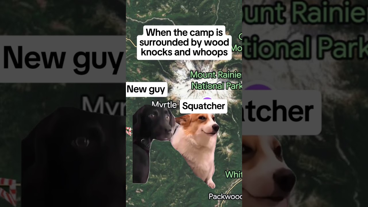 Time to figure out fight or flight #publishtoall