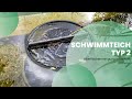 Wie funktioniert ein Schwimmteich Typ 2? Vorteile, Pflege und Besonderheiten