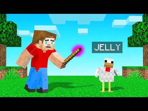 I Turned MY BEST FRIEND Into A CHICKEN! (Minecraft)