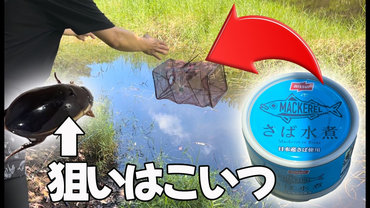 I set up a can of mackerel in a pond full of creatures and ended