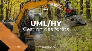Broyeur Forestier Fae Avec Rotor A Outils Fixes, Pour Les Excavateurs De 7 À 15 T