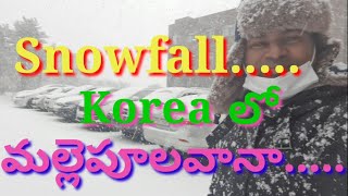 Snowfall in Korea || Telugu Traveller || Telugu vlogs from South Korea || Balaraju Kotnala