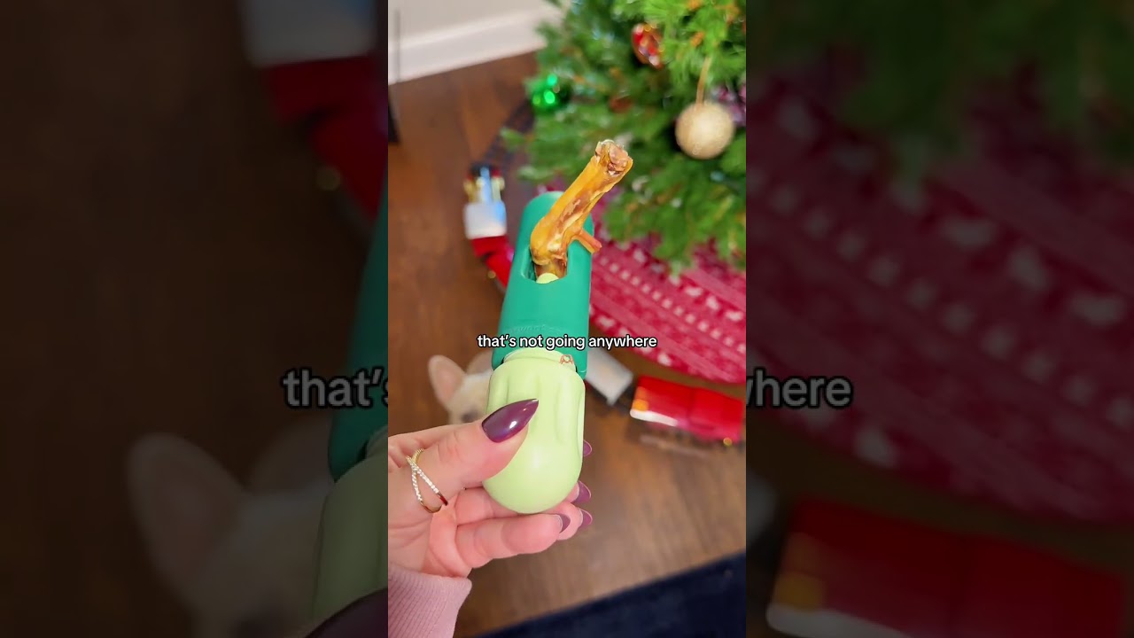 imo this is not an optional item for treats, this is a necessity to give peace of mind and avoid a