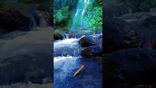 Relaxing Waterfall &amp; Stream Sounds 🌊 Nature ASMR for Sleep #shorts