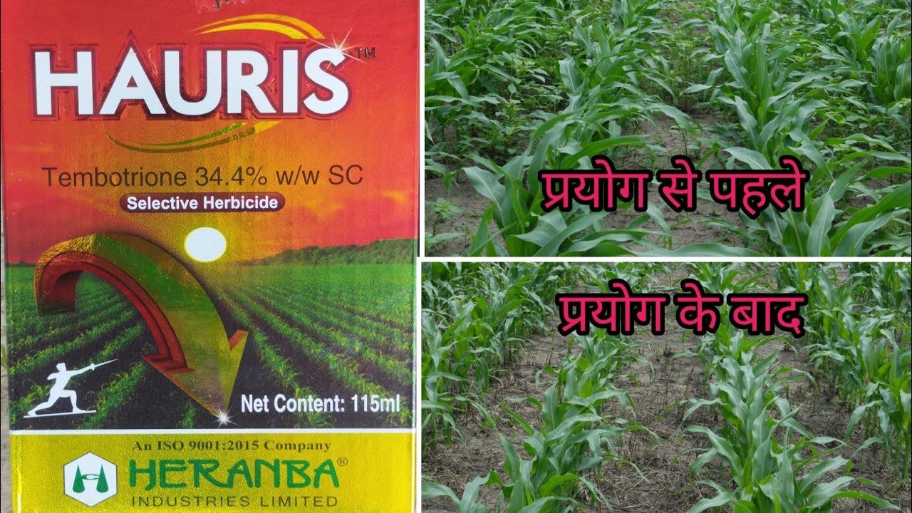 hauris herbicide | hauris uses | hauris dose | hauris detail explain ...