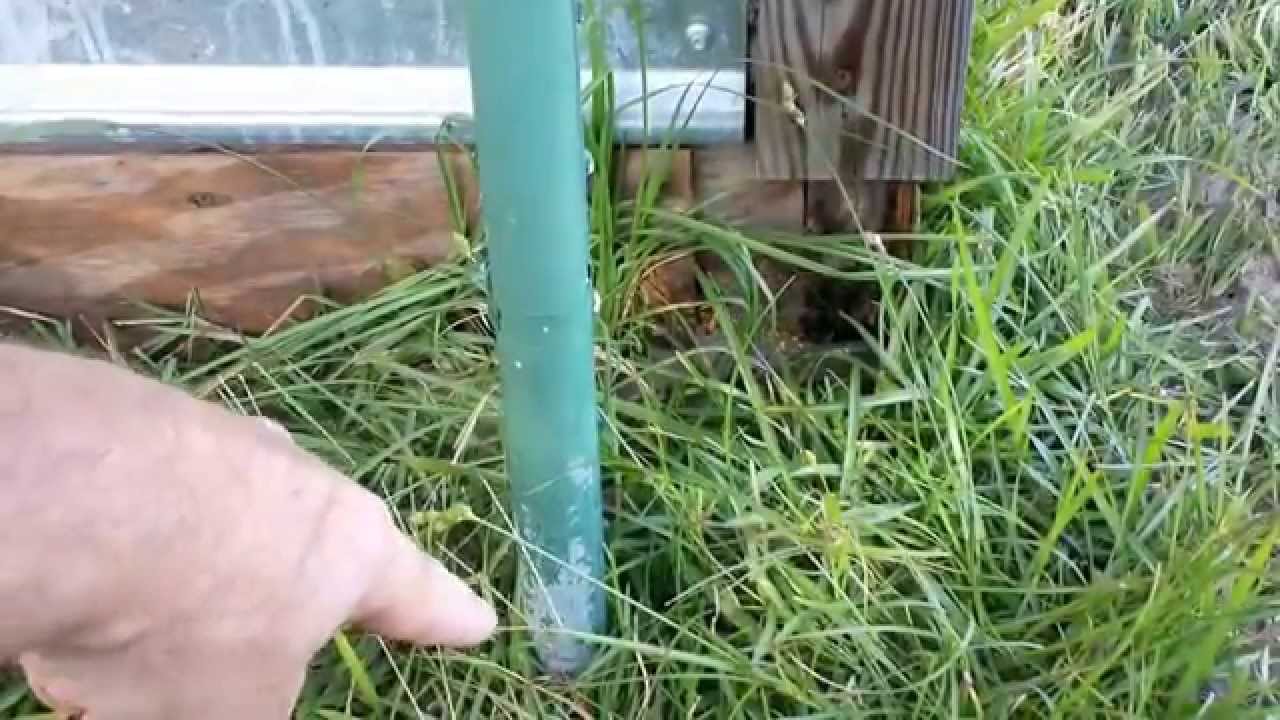 LIVESTOCK - 5-Cent Tour of My Chicken Coop