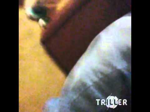 Tiptoe Through The Tulips Nick Lucas Youtube