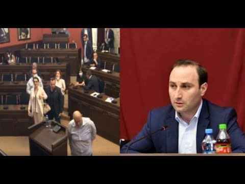 \"სხვადასხვა კარიდან გადით, საცობი რომ არ შეიქმნას\"  -  ოპოზიციამ კომიტეტის სხდომა დატოვა