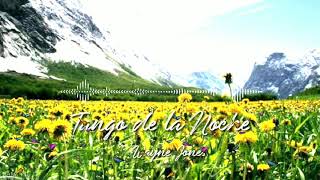 Download Lagu Tango de la Noche - Wayne Jones MP3