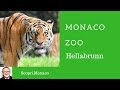 Zoo Hellabrunn - scopri di monaco