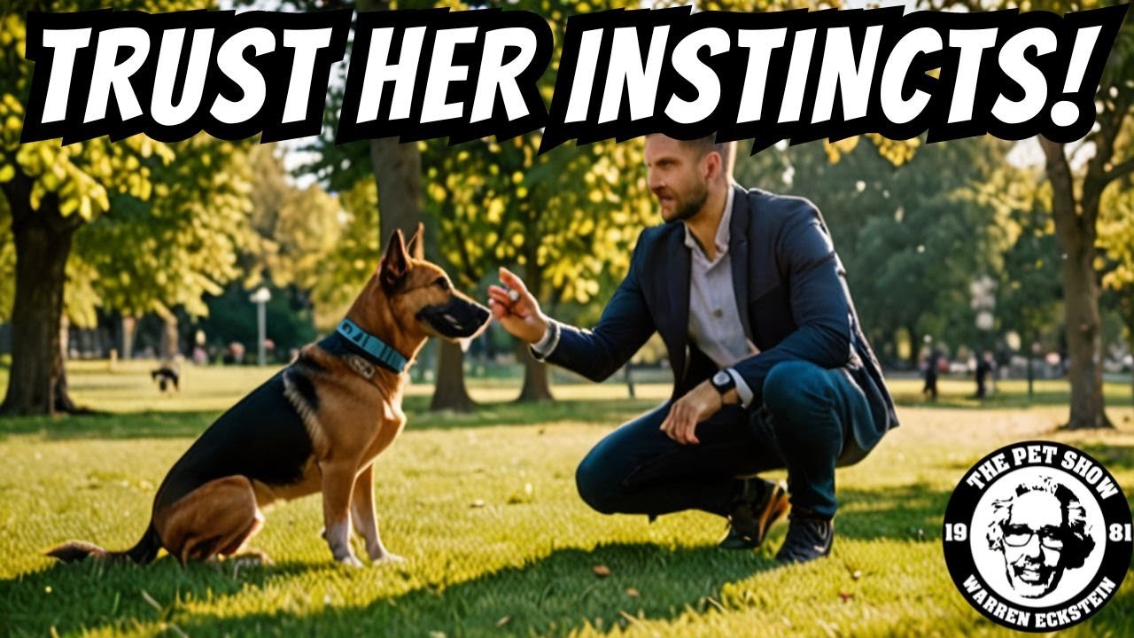 Decoding Your Dog: Trust Their Instincts, Training Smarter & More!  