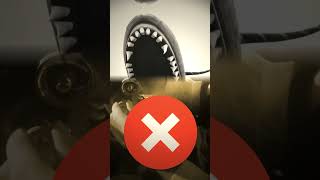 Unlocking the Mystery The Enigma Surrounding the Nantucket Sea Creature Revealed!