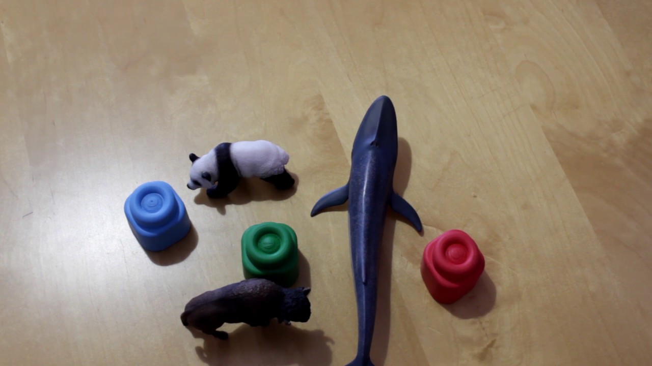 LOGOPEDIA PARA FAMILIAS #4: Juego de turnos y discriminación de palabras