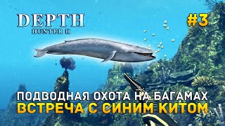 Подводная охота на Багамах. Встреча с синим Китом - Depth Hunter 2 #3