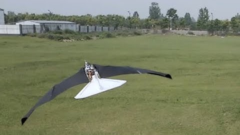 Ornithopter with morphing-coupled wingbeat pattern