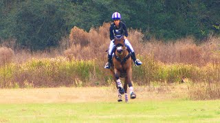 Amanda Gardiner &quot;Miller&#39;s Law&quot;  Ocala Horse Trials (PR) 2/13/2021