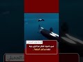#shorts #short ختم النذاله #shorts #short ختم النذاله