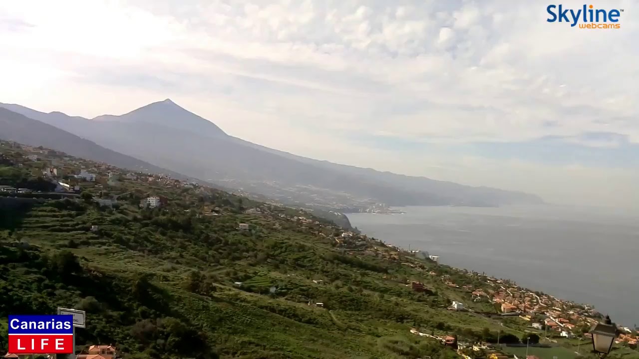 Foto de WEBCAM LIVE El Sauzal en El Sauzal, Santa Cruz de Tenerife