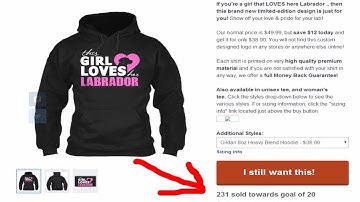 This Tshirt SOLD over $4000/week on Teespring | - with Facebook Ads