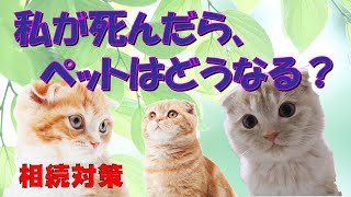 私が死んだら、ペットはどうなる？★大切なペットの相続について相続アドバイザーが解説