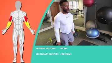 How To Do Cross Body Hammer Curl | Exercise Demo