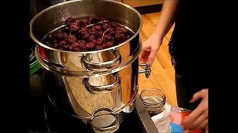 Tips: How to Use a Steam Juicer