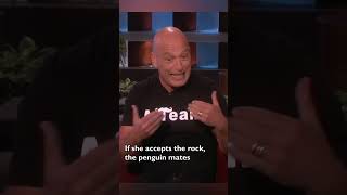 The heartwarming reason Howie Mandel's son wore a penguin suit to officiate his sister's wedding