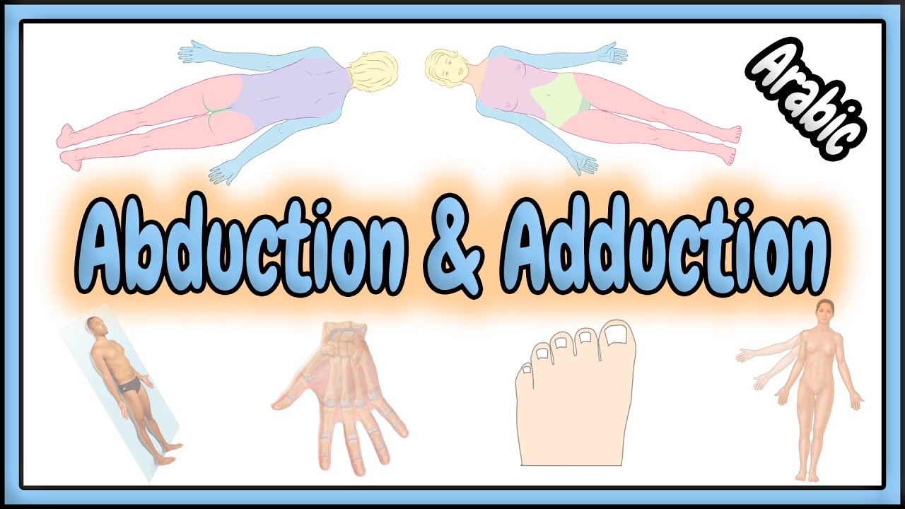 26. Abduction & Adduction Terms || مصطلحات التبعيد و التقريب