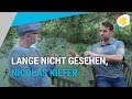 Lange nicht gesehen, Nicolas Kiefer | Stachis Welt | myTennis