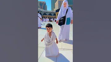 يا طيبه يا طيبه 