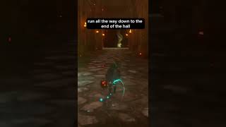The biggest time saver in the fire temple. #tearsofthekingdom #firetemple #zelda #nintendo #gaming