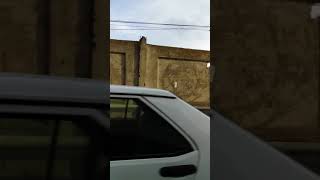 Alatava-2. Özəl Çıxarışı Olan 18 Sot Suzunu Yol Kənarı 50M Eni 37Mtrorpaq Sahəsi Satilir.