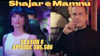Shajar E Mamnu Episode 585,586 Full Explained Urdu Hindi
