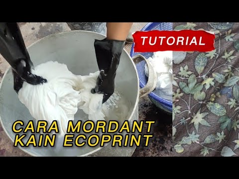 Video: Dalam pewarnaan gram mordan adalah?