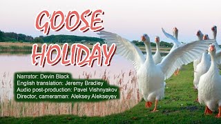 GOOSE HOLIDAY