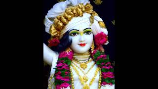 Shri Krishna Beautiful Status