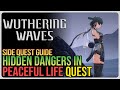 Hidden Dangers in Peaceful Life Wuthering Waves