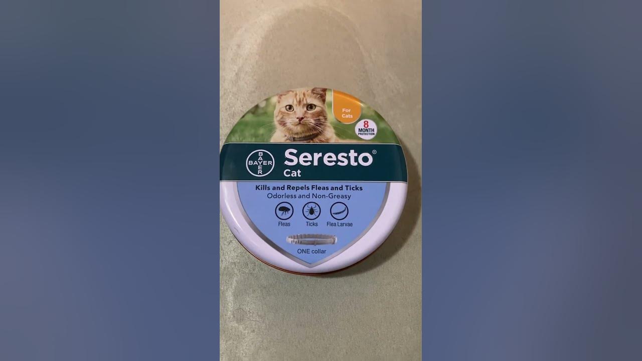Seresto cat collar product review is it worth it? YouTube