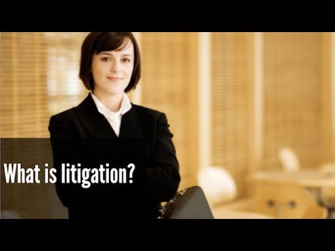 Litigation