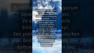 🌙 Sessiz Vedanın Merhameti Resimi