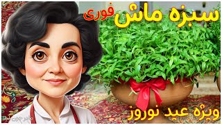 سبزه ماش / سبزه عید نوروز / طرز تهیه سبزه هفت سین عید نوروز